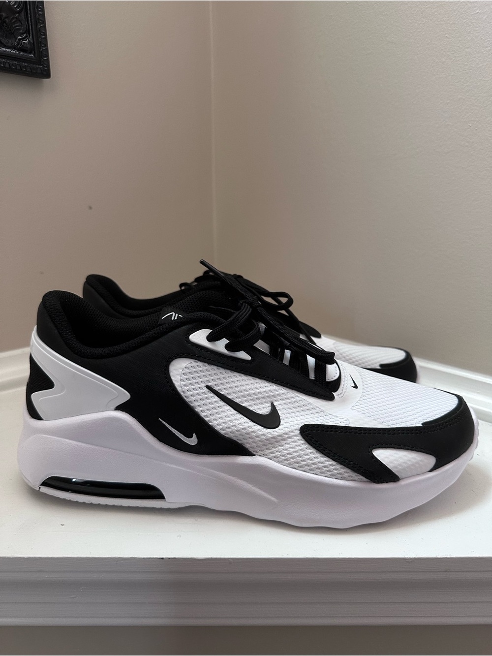 Nike Black and White Lifestyle Sneakers